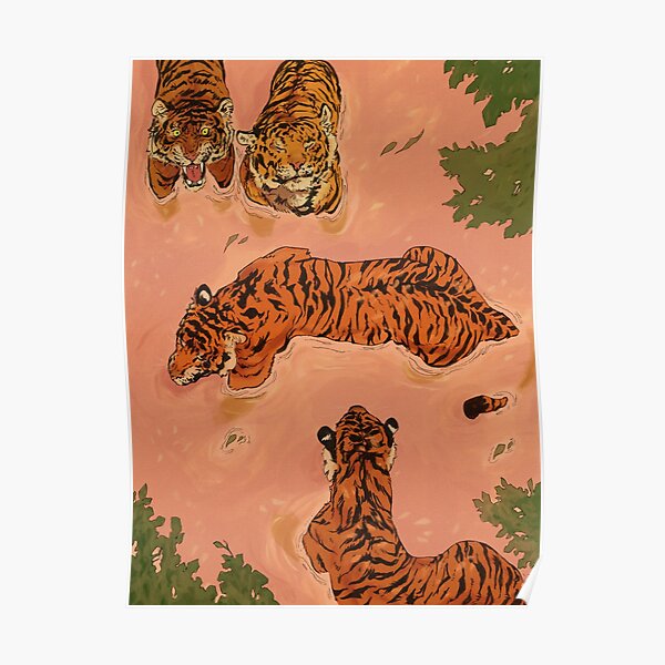 Tiger Beach Poster