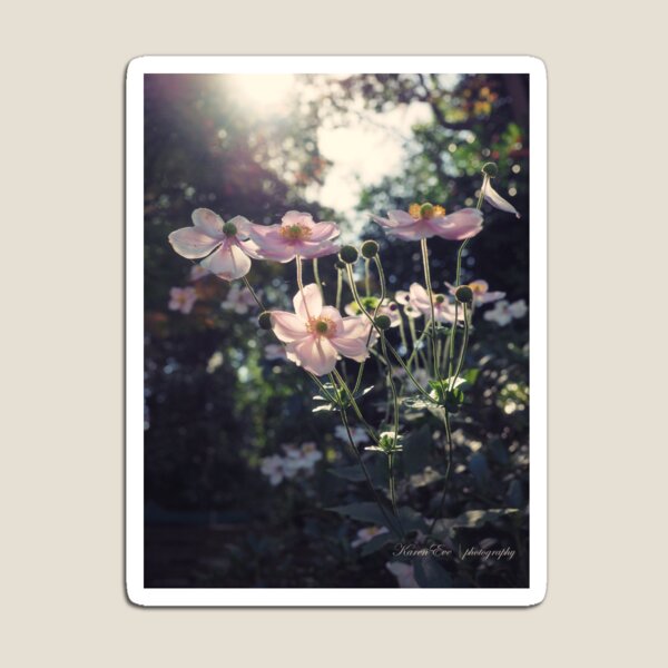 In a Country Garden Magnet