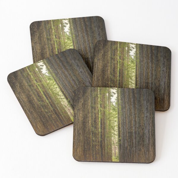 Item preview, Redwood Forest, Warburton, Victoria designed and sold by Scott Harty.