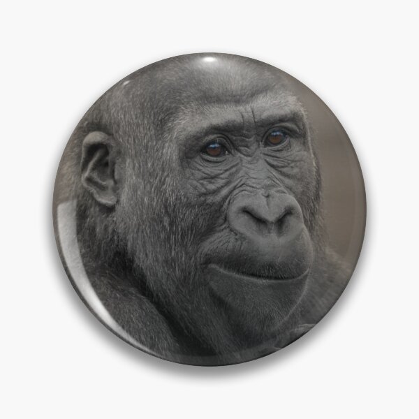 Item preview, Gorilla Shufai Portrait designed and sold by rawshutterbug.