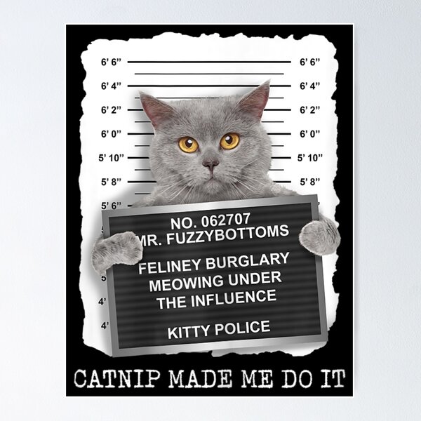 Funny Bad Kitty Cat Lovers Gift Cute Cat Meme Poster for Sale by Stephani  Analah