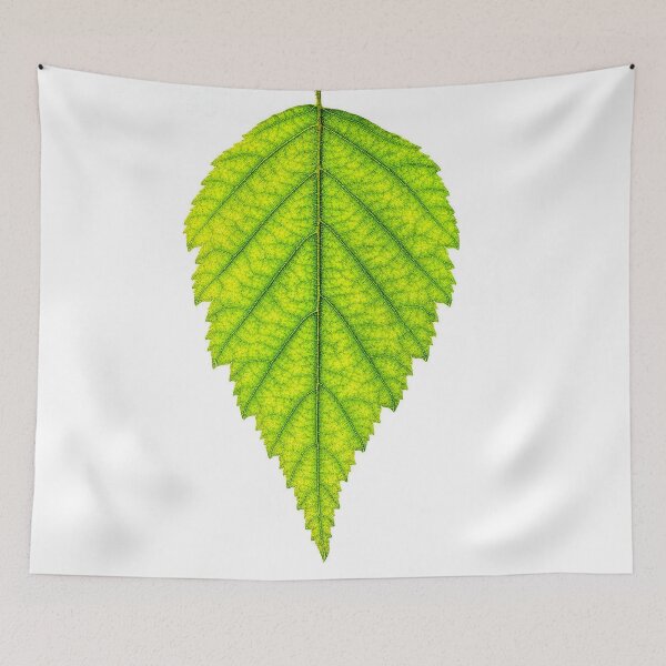 Item preview, Leaf designed and sold by CJVisions.