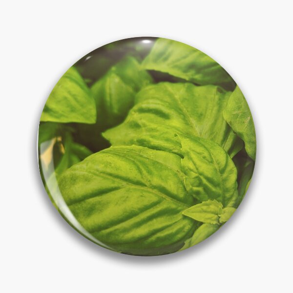Item preview, Food Green Basil Leaves Spices Herbs Kitchen Decor designed and sold by Wizardofpizza.