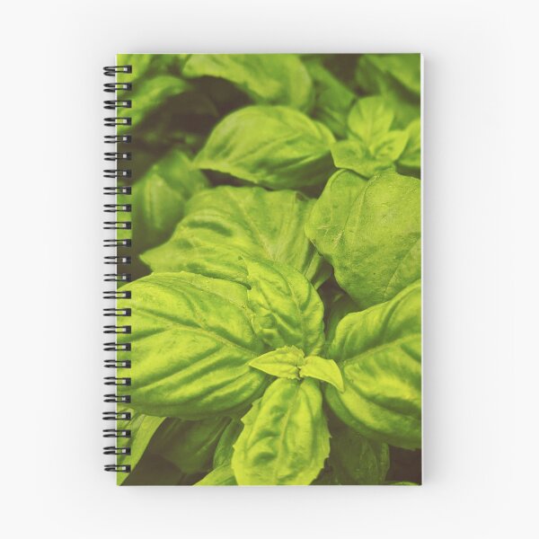 Item preview, Food Green Basil Leaves Spices Herbs Kitchen Decor designed and sold by Wizardofpizza.