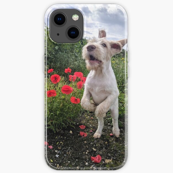 Leaping Spinone puppy with poppies iPhone Soft Case