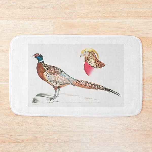 Item preview, Chinese Ring-necked Pheasant (Phasianus Torquatus/ Head of the Common Golden Pheasant (Chrysolophus Pictus) designed and sold by Printoweb.