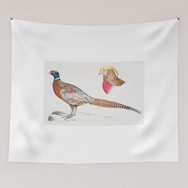 Item preview, Chinese Ring-necked Pheasant (Phasianus Torquatus/ Head of the Common Golden Pheasant (Chrysolophus Pictus) designed and sold by Printoweb.