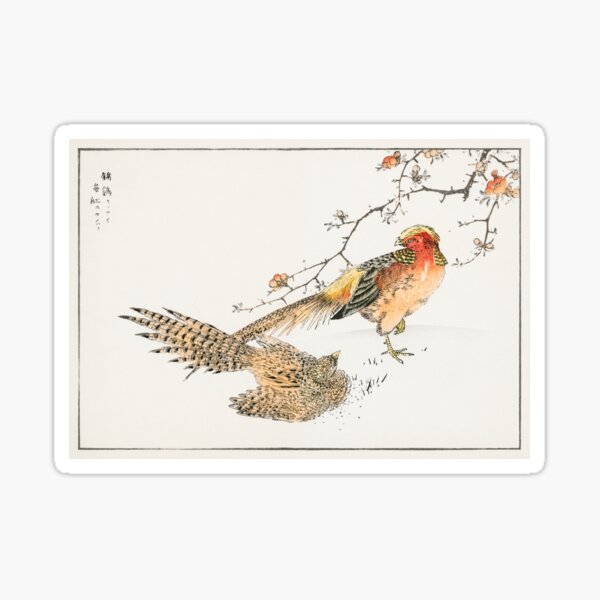 Golden Pheasant and Flower of Japanese Quince Illustration Sticker