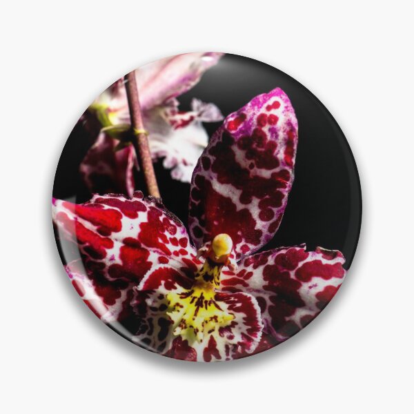 Item preview, Orchid designed and sold by Derek Byrne.
