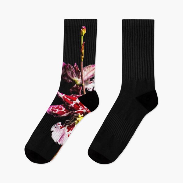Artikelvorschau, Orchid entworfen und verkauft von Derek Byrne.