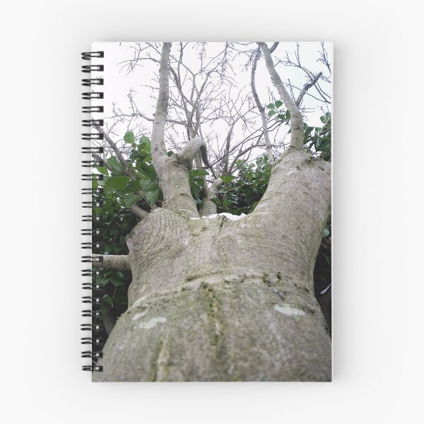 Item preview, The long, intertwining trees designed and sold by WilliamJFrance.