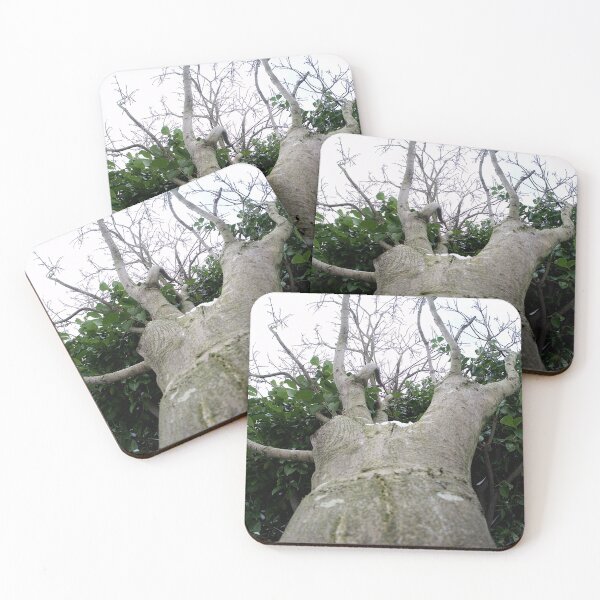 Item preview, The long, intertwining trees designed and sold by WilliamJFrance.