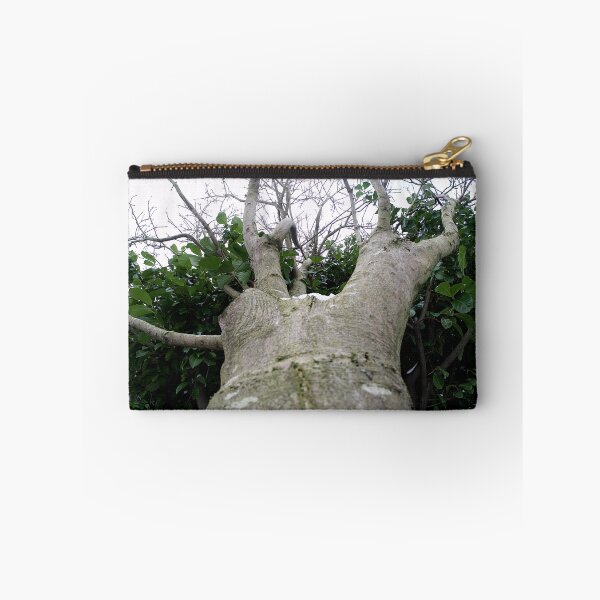 Item preview, The long, intertwining trees designed and sold by WilliamJFrance.