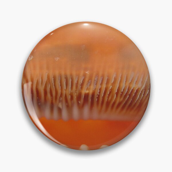 Item preview, interior view of a large seashell designed and sold by Olga Kydryavskaya.