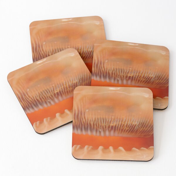 Item preview, interior view of a large seashell designed and sold by Olga Kydryavskaya.