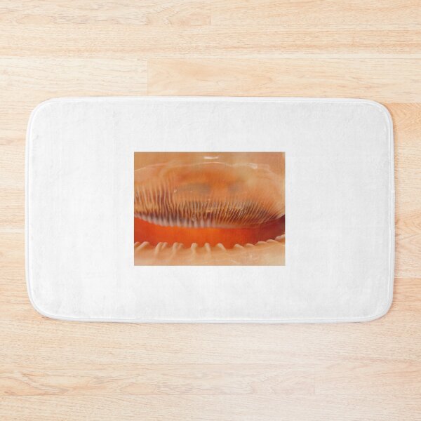 Item preview, interior view of a large seashell designed and sold by Olga Kydryavskaya.
