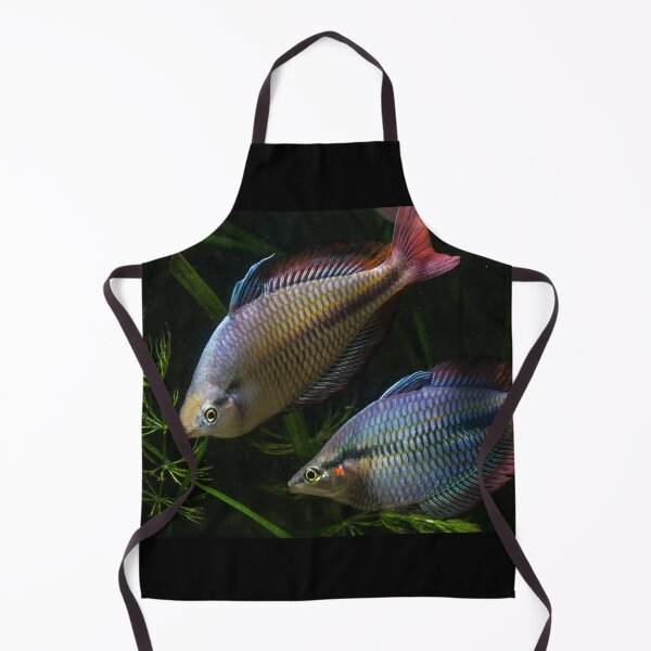 Item preview, Melanotaenia trifasciata - Cato River designed and sold by Derek Byrne.