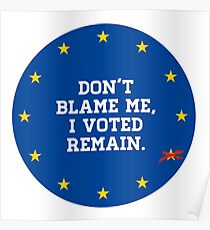 Don't Blame me, I voted Remain Poster