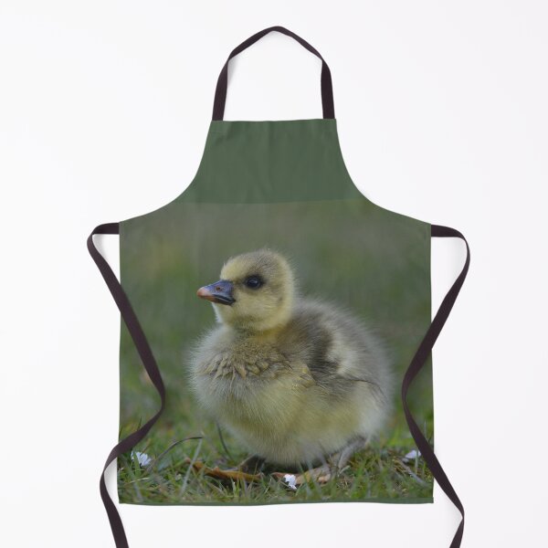 Item preview, Fluffy greylag gosling designed and sold by ClaireChown.
