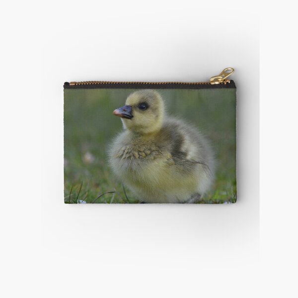 Item preview, Fluffy greylag gosling designed and sold by ClaireChown.