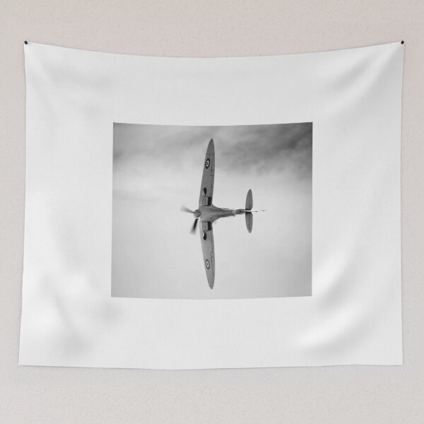 Item preview, Spitfire display designed and sold by Ian Merton.