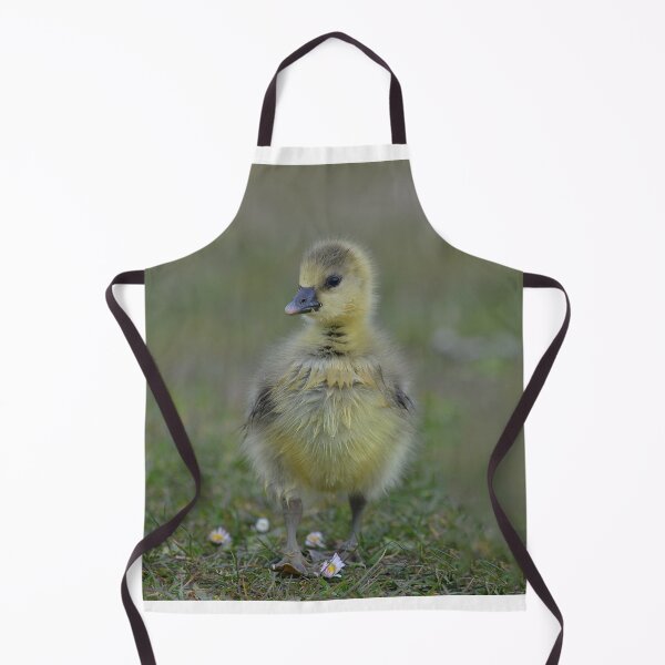 Item preview, Fluffy gosling with daisies designed and sold by ClaireChown.