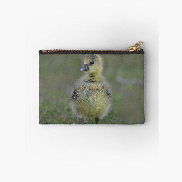 Item preview, Fluffy gosling with daisies designed and sold by ClaireChown.