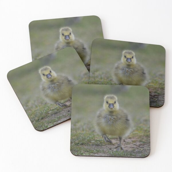 Item preview, Fluffy young gosling designed and sold by ClaireChown.