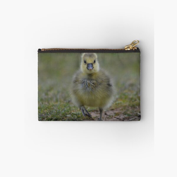 Item preview, Fluffy young gosling designed and sold by ClaireChown.
