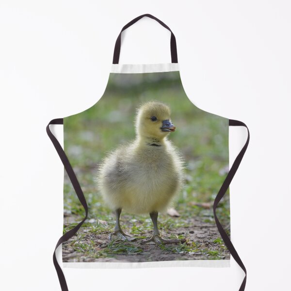 Item preview, Fluffy young gosling designed and sold by ClaireChown.
