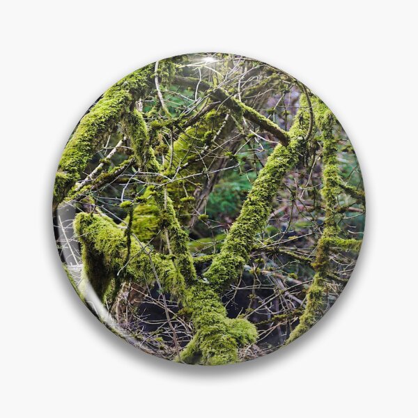 Item preview, Branches or just with moss designed and sold by frankuffmann.
