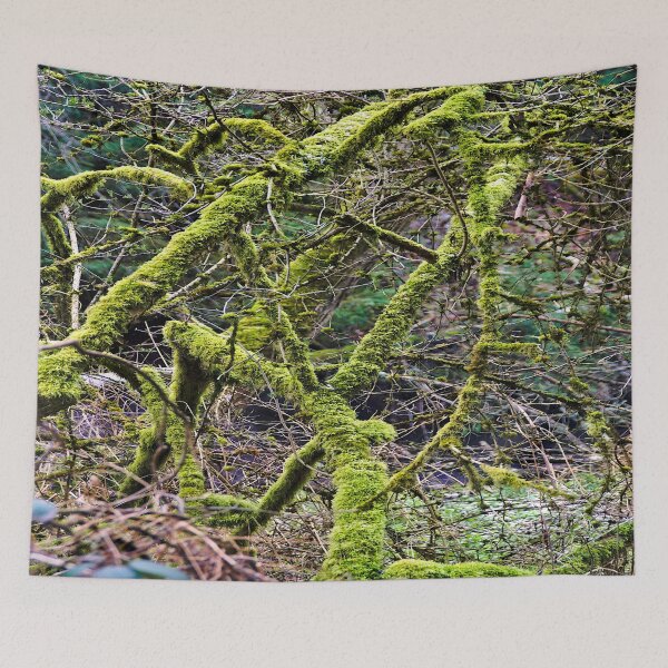 Item preview, Branches or just with moss designed and sold by frankuffmann.