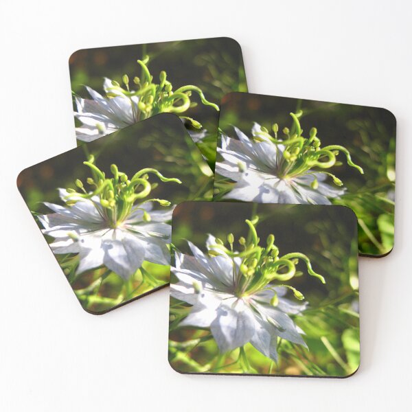 Item preview, Love in a Mist designed and sold by Melodie Maker art.