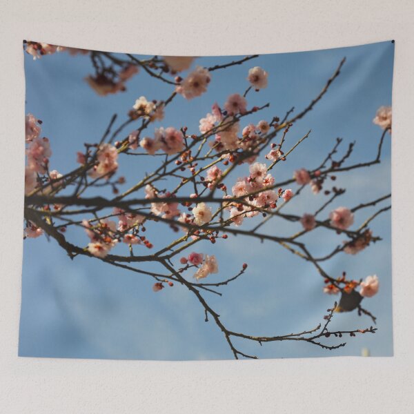 Item preview, Cherry Blossom Tree Shot designed and sold by Emalhures.