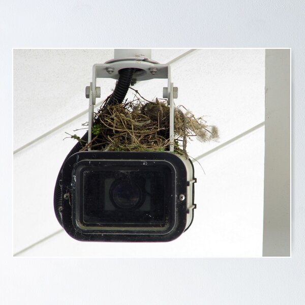 Item preview, Now Watch The Birdie designed and sold by WildestArt.