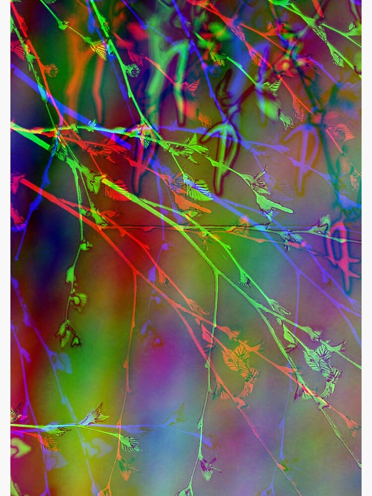 Abstract Tree Branches In Spring by Risingphx