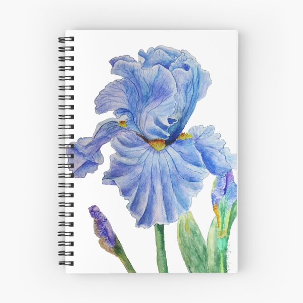 Aperçu de l'œuvre Iris bleu créée et vendue par mary hughes.