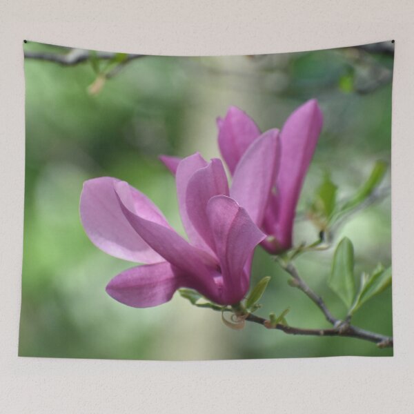 Item preview, Magnolia Blooms designed and sold by ReneeKennedy.