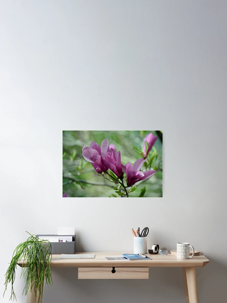 Thumbnail 2 of 3, Poster, Spring Splendor designed and sold by ReneeKennedy.