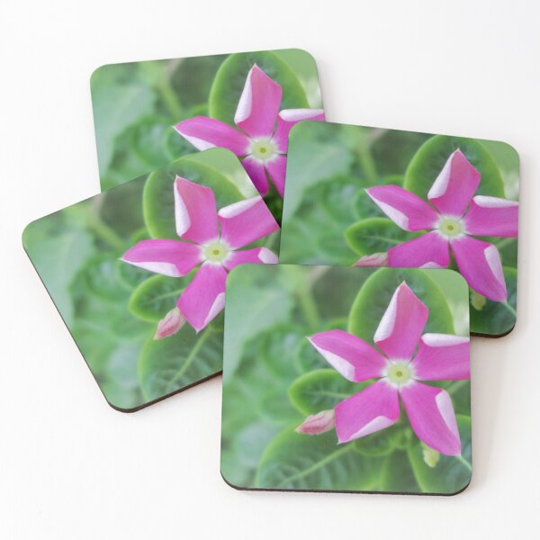 Item preview, pink flower to bloom designed and sold by libertycreative.