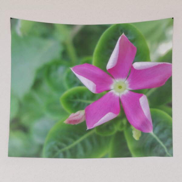 Item preview, pink flower to bloom designed and sold by libertycreative.