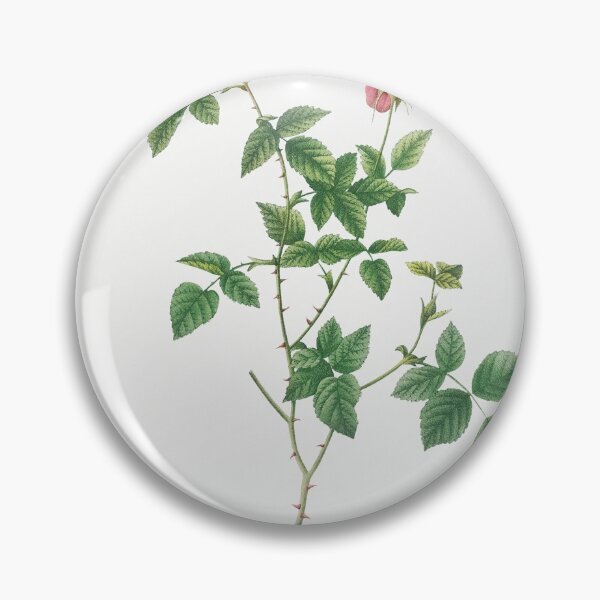 Item preview, Les Roses by Pierre-Joseph Redouté designed and sold by EsotericBotanic.