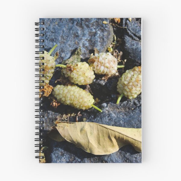 Item preview, Five mature white mulberries designed and sold by Mahirov Shop.