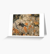Narbee Greeting Card