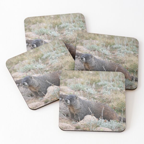 Item preview, Marmot Amid The Alpine Tundra designed and sold by Sarah Tepe.