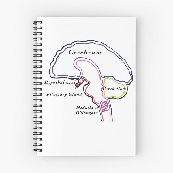 Item preview, BRAIN BRAIN BRAIN designed and sold by zoeandsons.