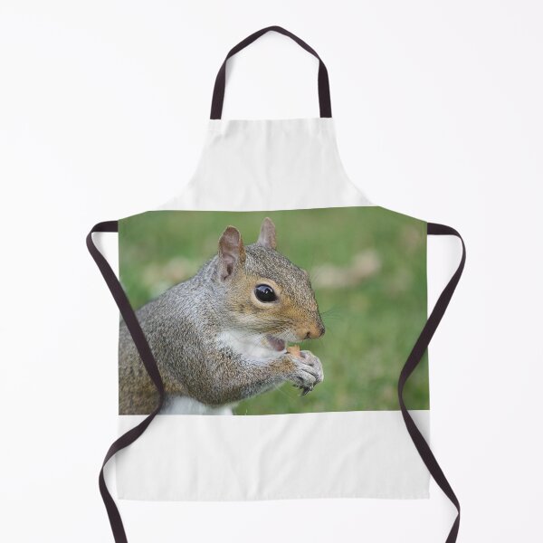 Artikelvorschau, Ein kleines Eichhörnchen beim Essen... entworfen und verkauft von LaurenTucker.