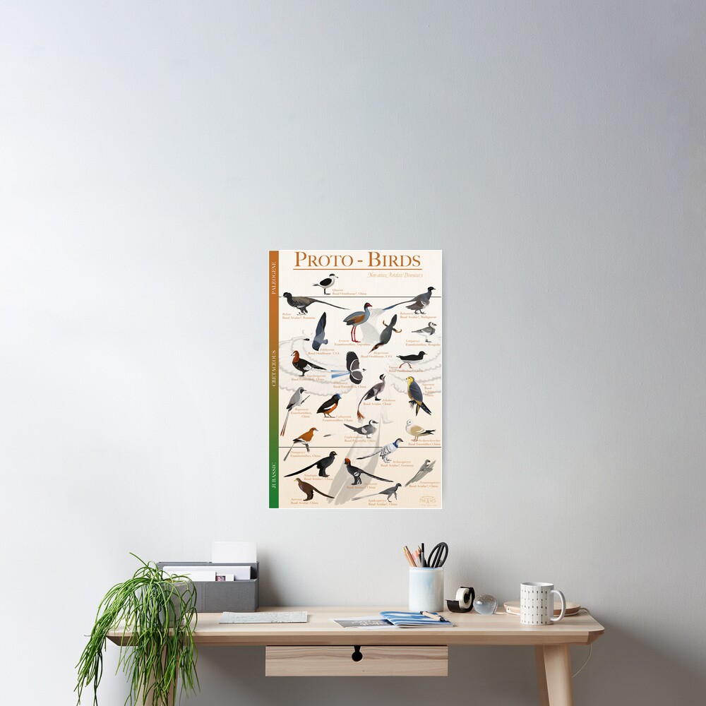 Proto-Birds Poster Poster