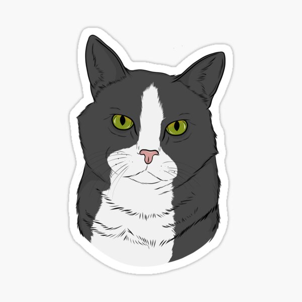 "Gray and White Cat " Sticker for Sale by rmcbuckeye Redbubble