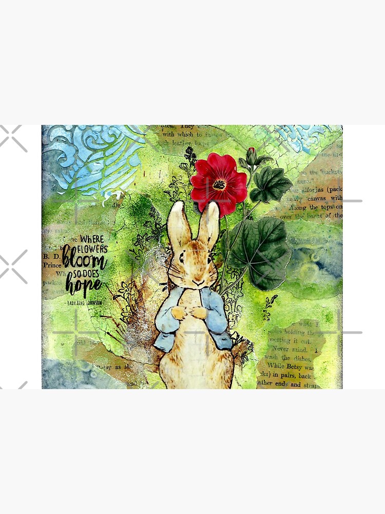 Peter Rabbit and his mother  Photographic Print for Sale by Bundjum